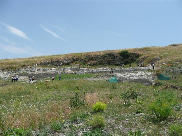 ENTELLA