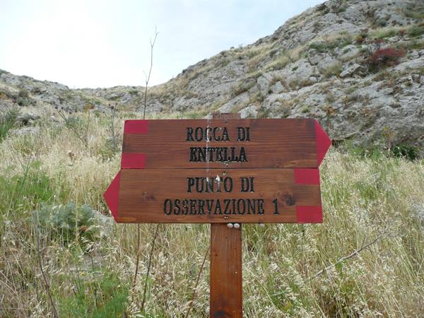 ENTELLA