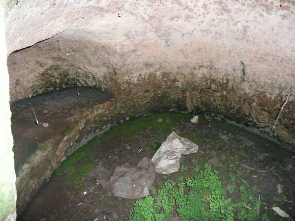 THAPSOS