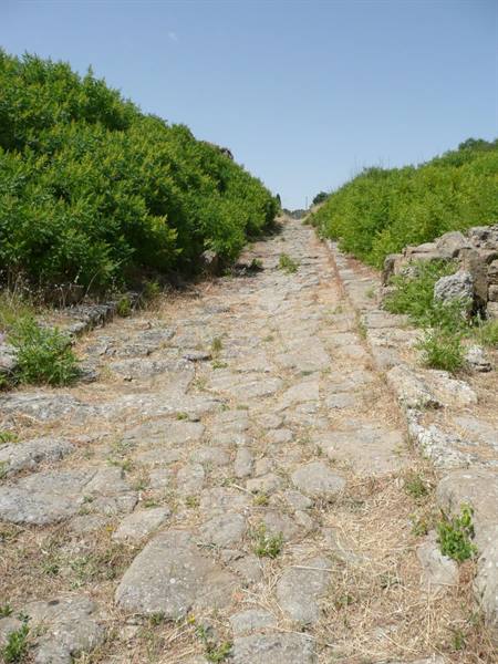 MORGANTINA - the plateia A - towards the western residential quarter