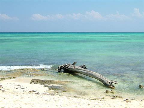 Playa del Carmen-trunk
