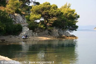 Pine trees on rocky shore beside small sandy beach and calm sea