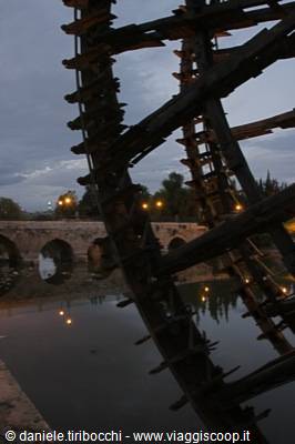 HAMA THE NORIAS BY NIGHT