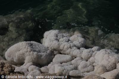 SALT IN THE DEAD SEA