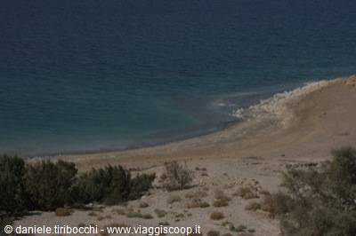 DEAD SEA