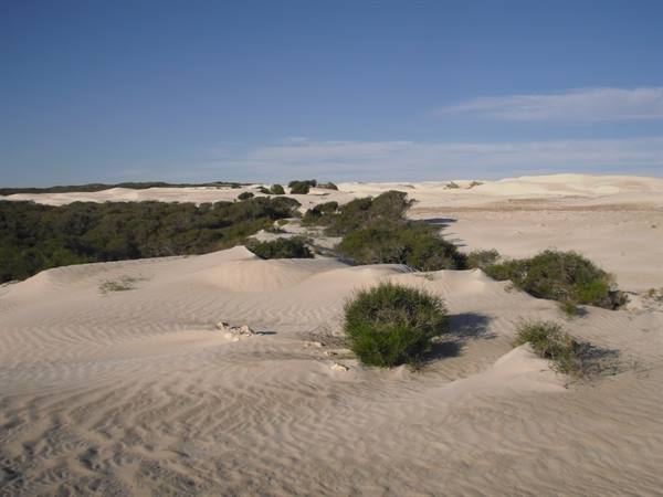 Nambung National park