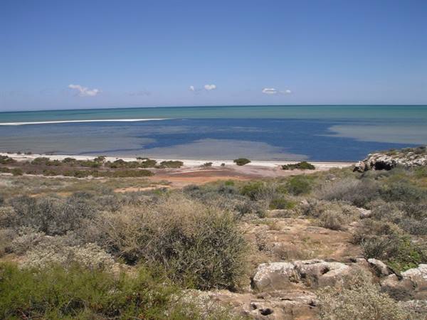 Shrubs and limestone rocks before turquoise bay, sandy beach under blue sky