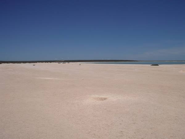 Shell Beach