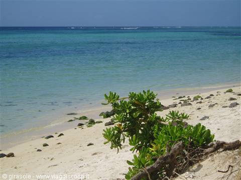 Le Morne beach