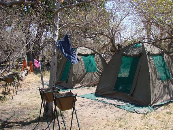 Green safari tents under bare trees with folding washstands and hanging clothes