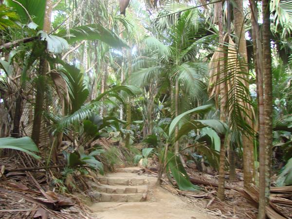 vallee de Mai