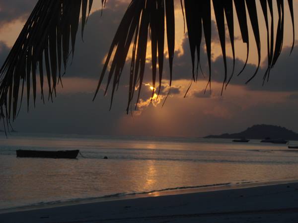 Boat offshore under palm fronds, low sun through clouds lights the beach
