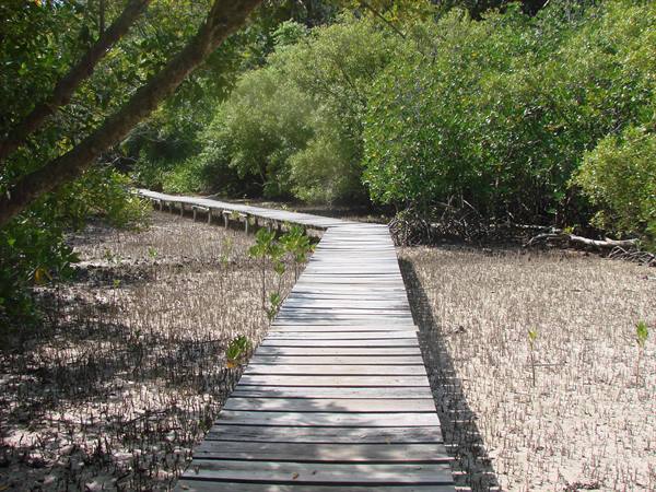 island of Curieuse (national Park)