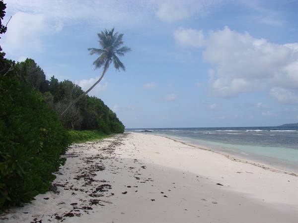 la digue