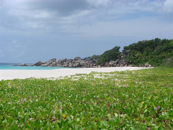 petite anse