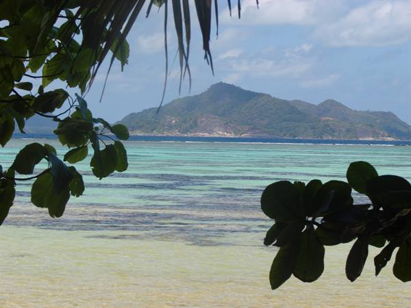 Tropical leaves frame a turquoise lagoon and the green island of Praslin