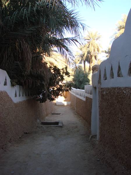 Ghadames - gardens