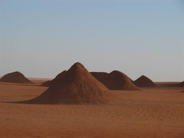 Red sand mounds scattered across the desert under a blue sky
