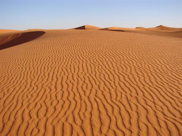 Orange sand dunes with wind-carved ripples under a clear blue sky