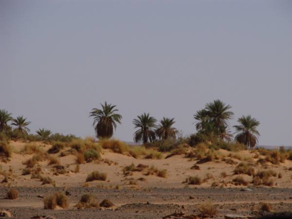 near Al Uwaynat