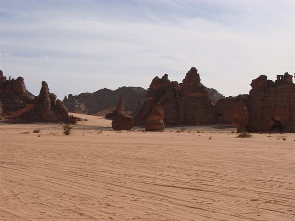 Eroded rock formations in sandy desert with tyre tracks and sparse shrubs