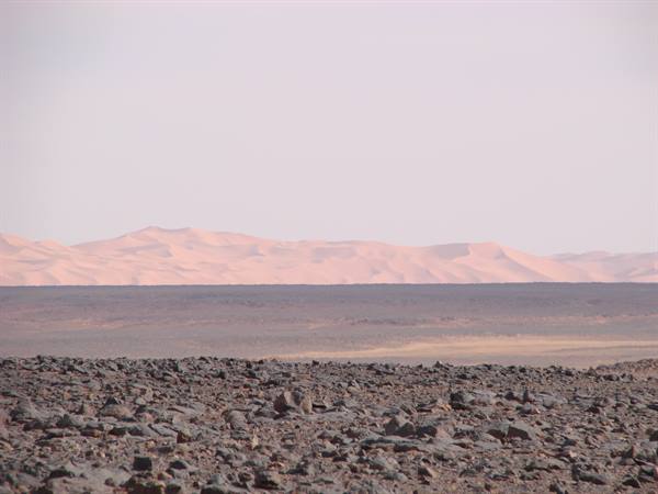 Pink sand dunes beyond a dark rocky plain in the desert