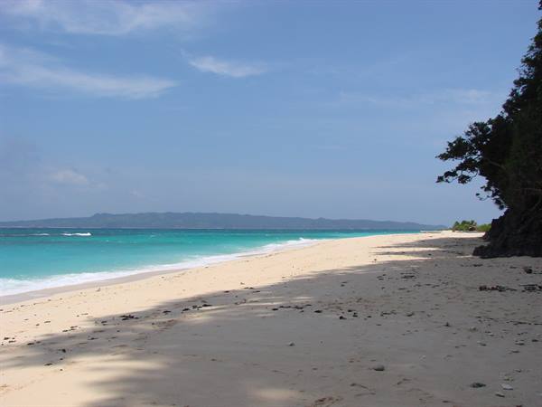 puka shell
