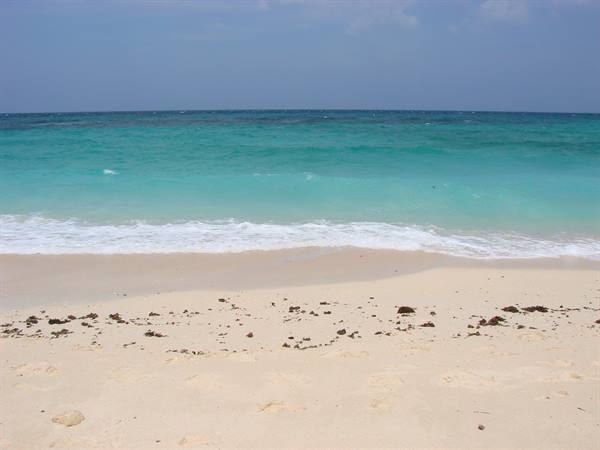 Pale sand with brown seaweed, foamy waves on turquoise water