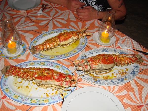 the lobsters bought from the fisherman became our dinner!