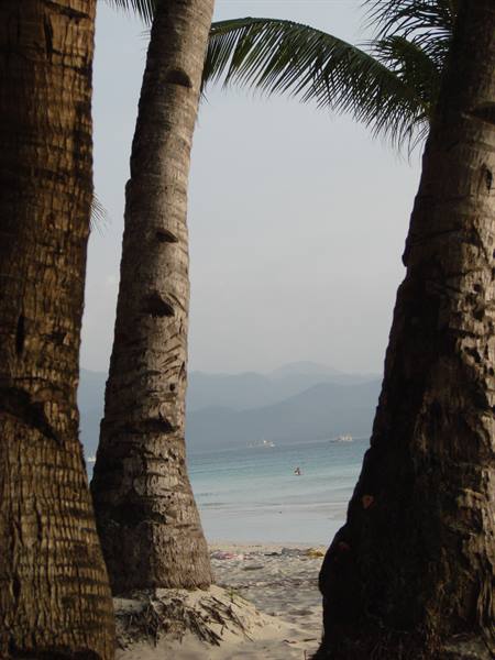 Palm trunks on white sand, turquoise sea and hazy mountains behind