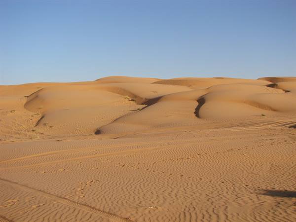 Orange sand dunes with tire tracks under a blue sky