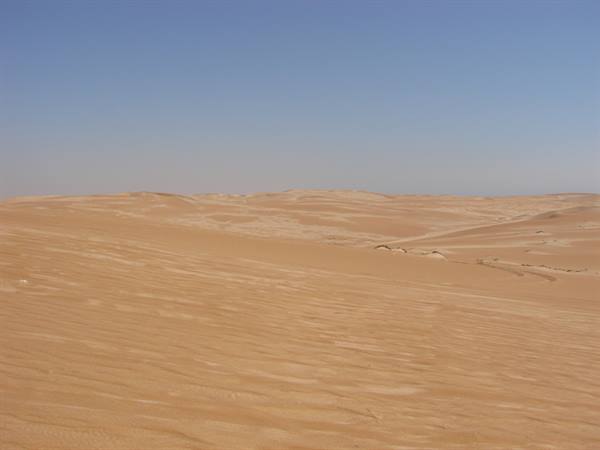 Golden sand dunes under a clear blue sky
