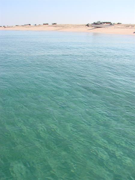 Boat trip to Ras al Hadd