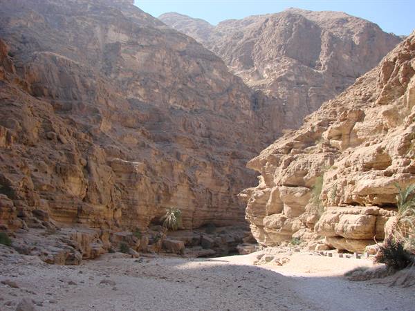 Wadi Shab
