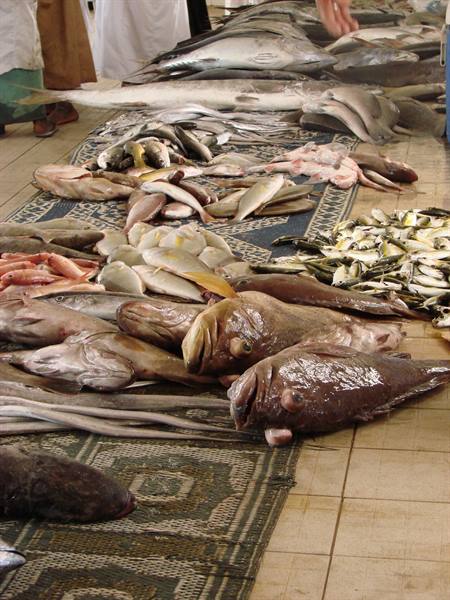 fish market in Mutrah