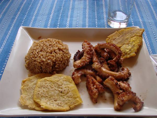 my lunch (octopus, rice, patacones and breadfruit) at the Donde Francesca restaurant