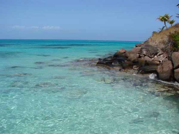 cayo cangreyo