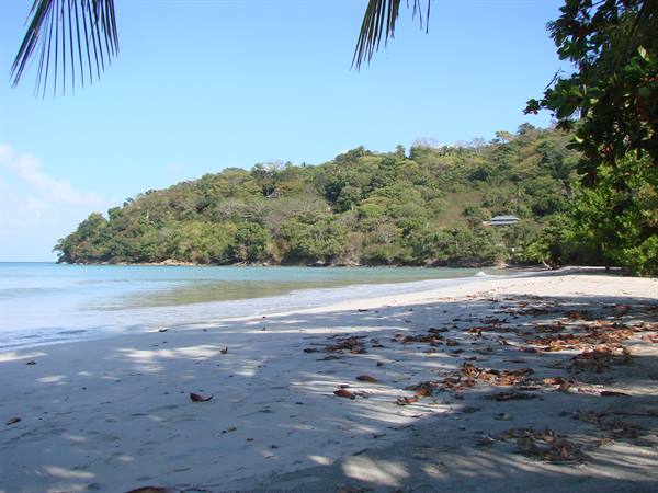 suroeste or Freshwater