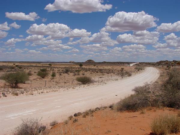 White dirt road curving between shrubs and red sand, white clouds