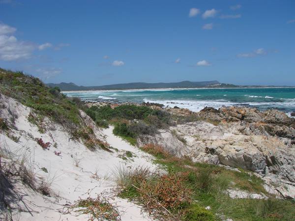pearly beach