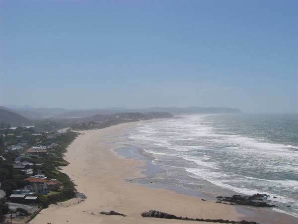 White waves on sandy beach beside houses among trees under blue sky
