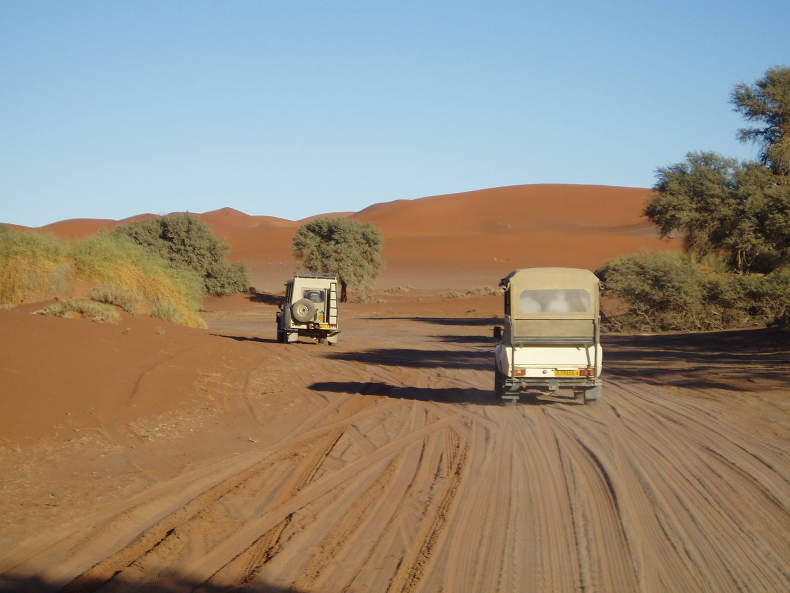 Sossusvlei: two jeeps driving on red sand between dunes and acacias
