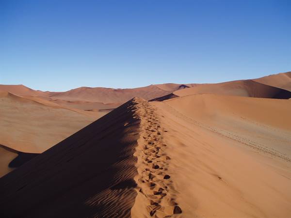 Footprints along a red dune ridge at Sossusvlei under a clear blue sky