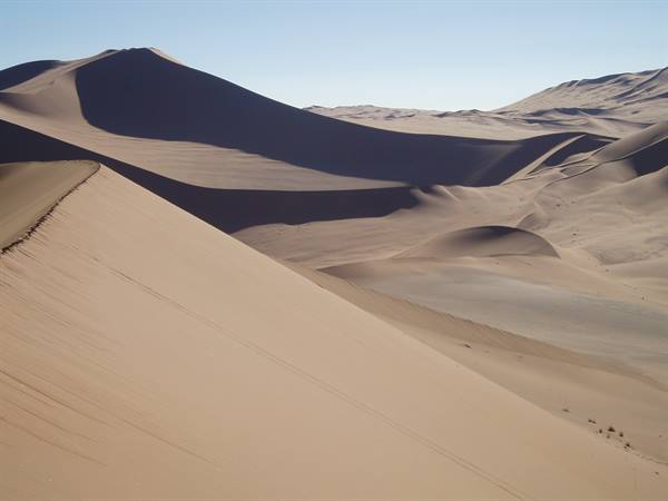 Golden sand dunes in morning light, sharp shadows along the ridges
