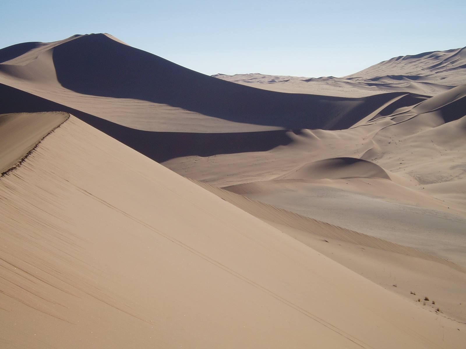 Golden sand dunes in morning light, sharp shadows along the ridges