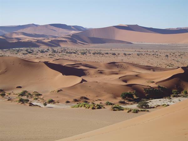 Red sand dunes among green shrubs in the Namib desert