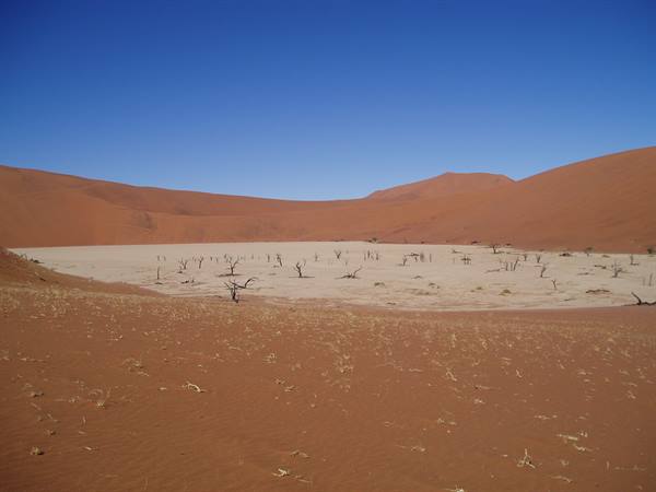 deadvlei