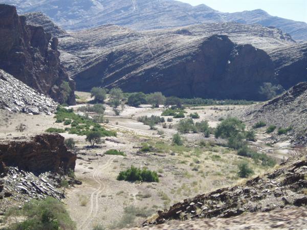 Dry riverbed with green trees among barren rocky mountains, harsh sunlight