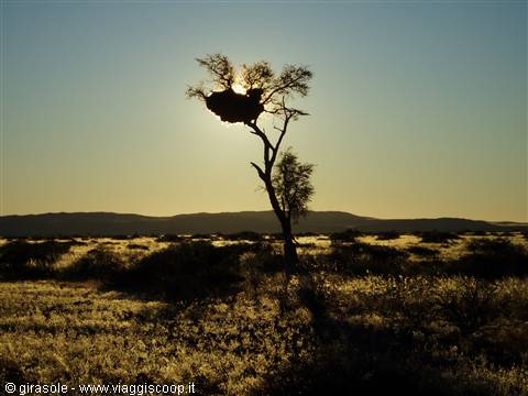 Sunset at Weltwrede