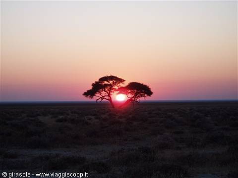 Dawn at Ethosa